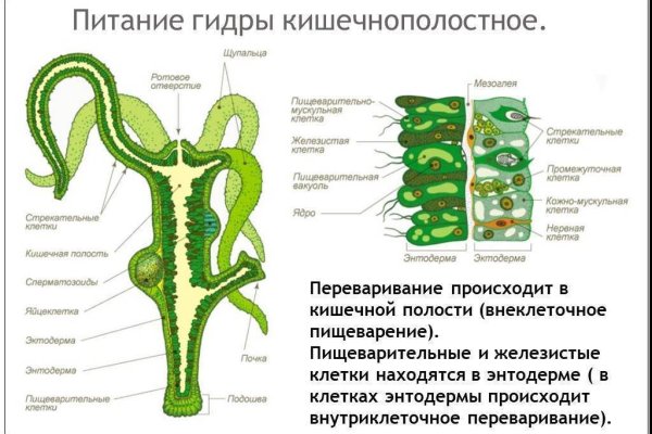 Зеркало меги тор браузер