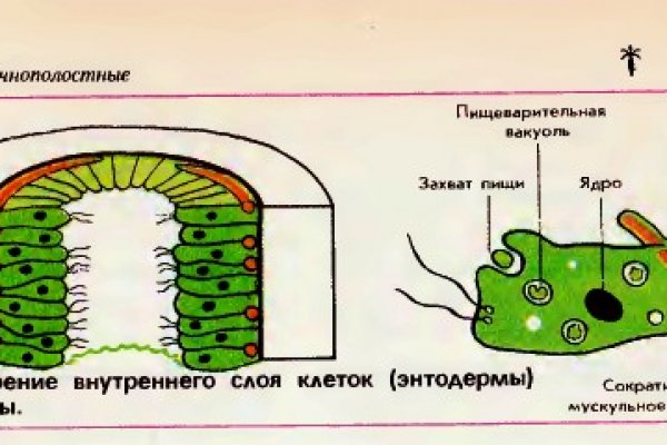 Как войти на кракен