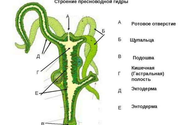 Вход kraken